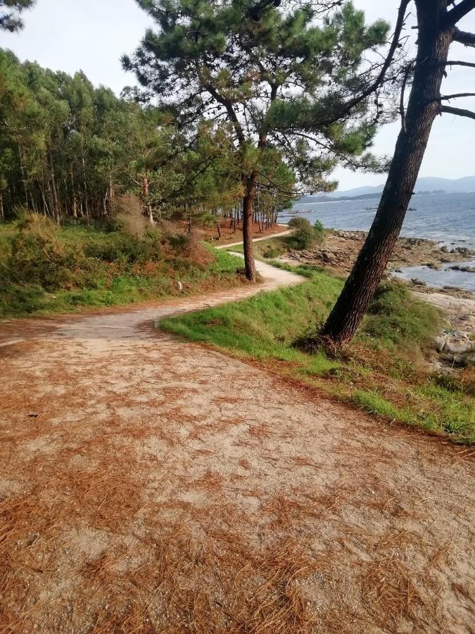 Piso Collazo Lägenhet Isla de Arosa Exteriör bild