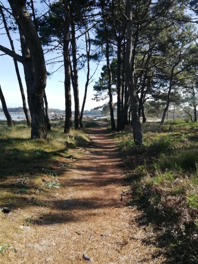 Piso Collazo Lägenhet Isla de Arosa Exteriör bild